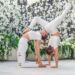 Best 300 Hour Yoga Teacher Training