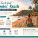 Arambol Beach Travel Guide for Students
