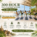 300-Hour Yoga TTC in Thailand