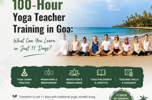 What Can You Learn in Just 11 Days