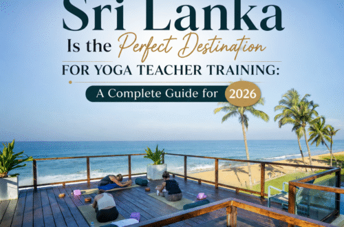 Why Sri Lanka Is the Perfect Destination