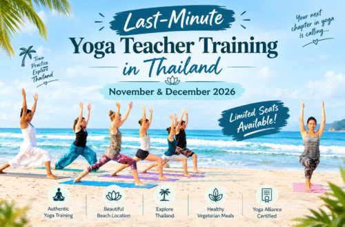 Yoga Teacher Training Thailand November