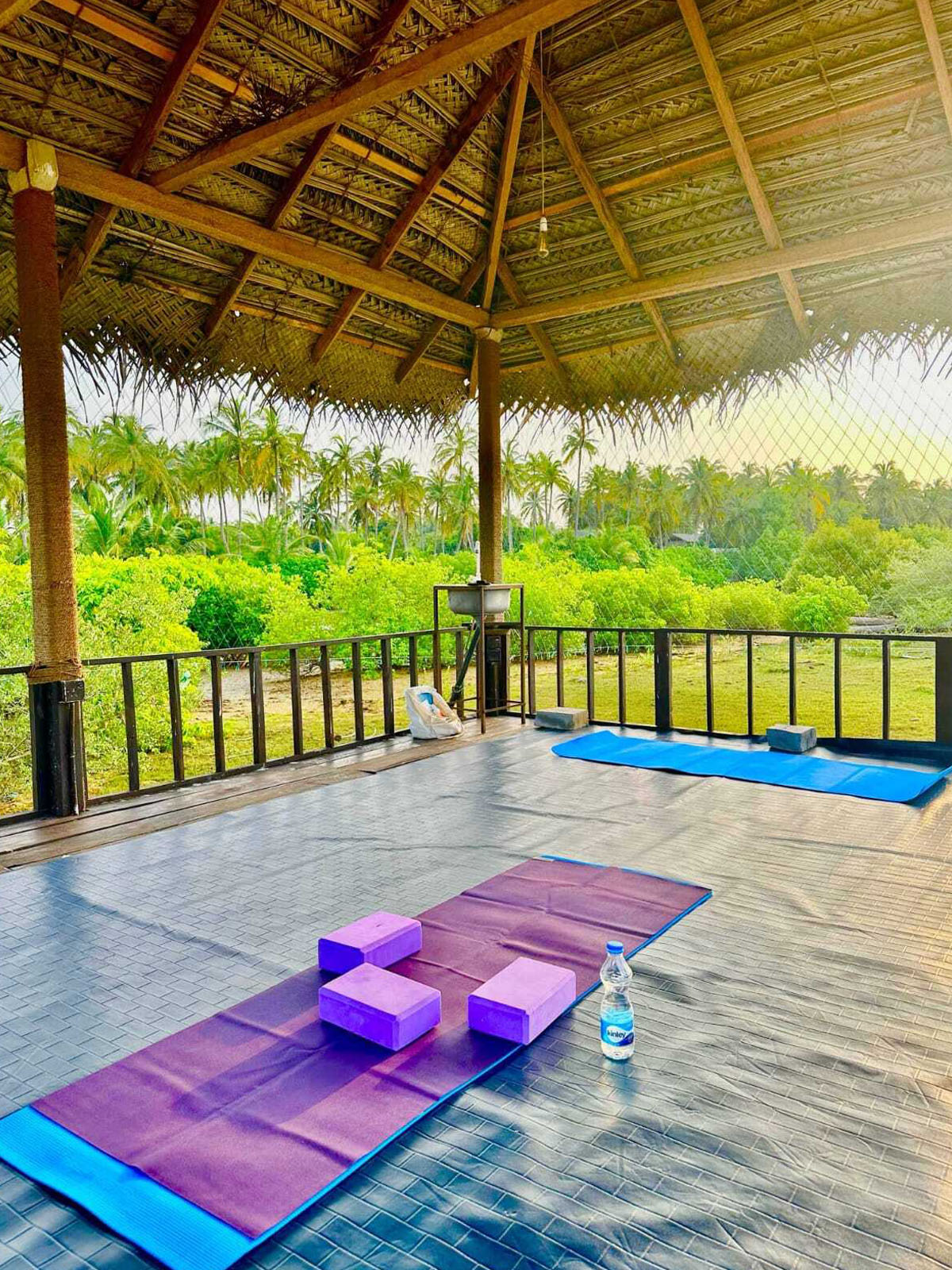 100 Hour Yoga Teacher Training in Sri Lanka