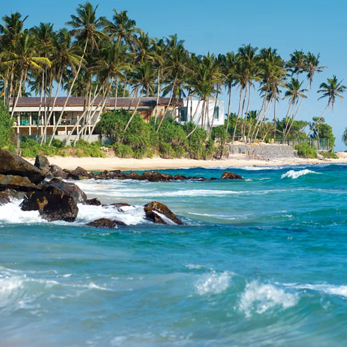 Yoga Teacher Training Sri Lanka