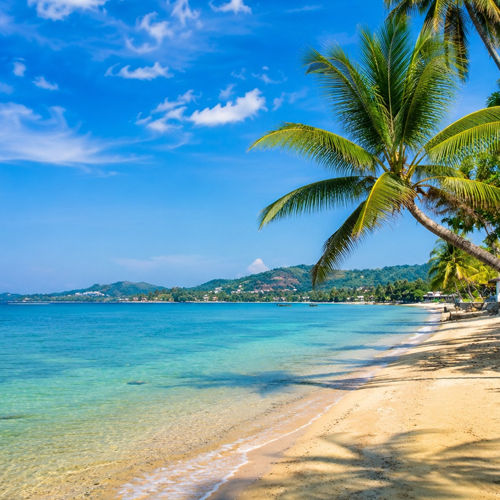 Yoga Teacher Training Thailand
