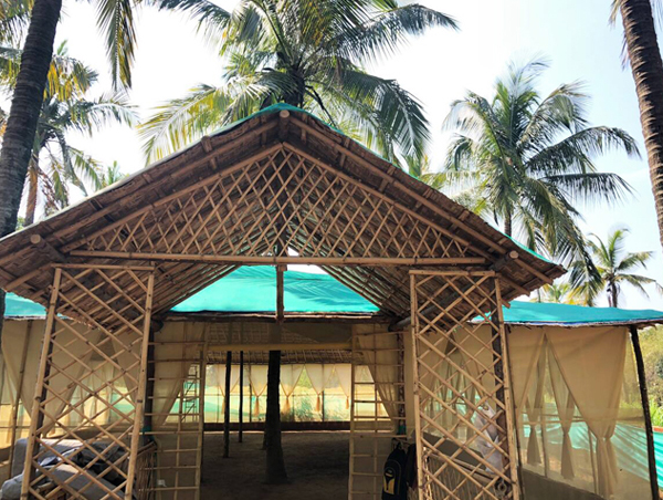 300 Hour Yoga TTC in Goa